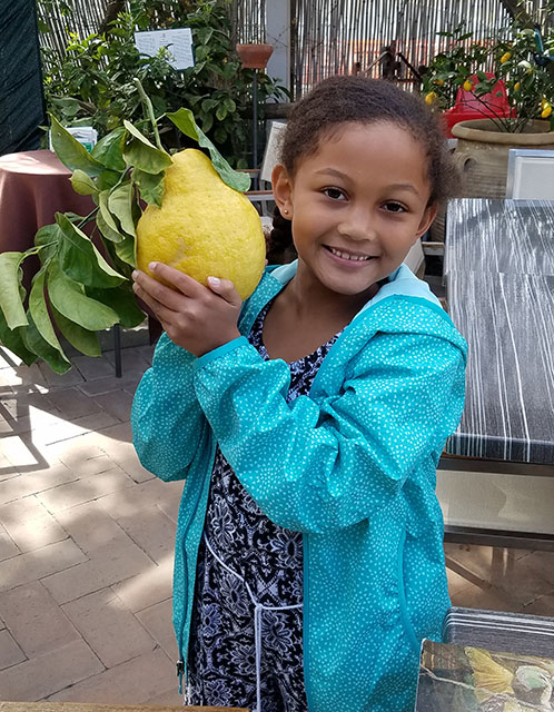 cupcake giant lemon