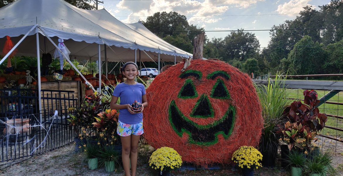 Deanna pumpkin patch